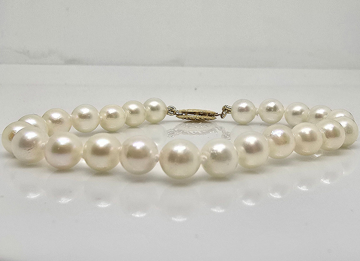 14K gold saltwater Akoya cultured pearl bracelet