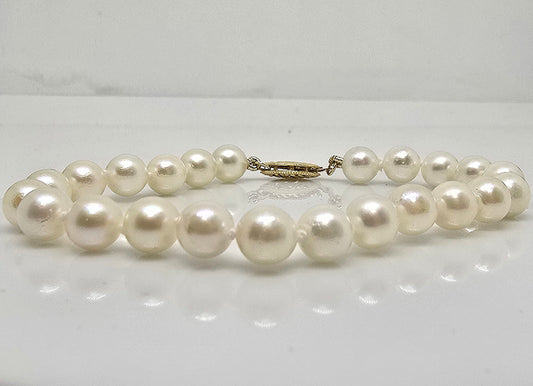 14K gold saltwater Akoya cultured pearl bracelet